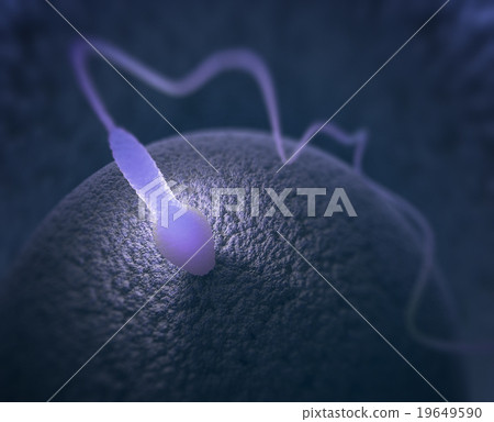 Human Reproduction Human Reproduction 19649590