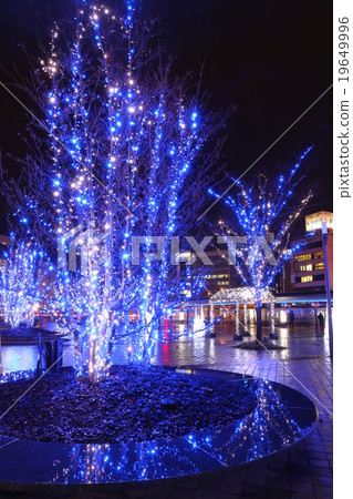 Oita Station Illumination 19649996