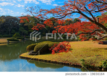Rikugien's autumn leaves and the scenery that shines on the surface of the lake 19650164