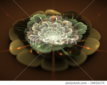 Fractal flower 19650274