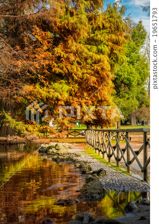 Beautiful autumn trees and lake in park Sempione 19651793
