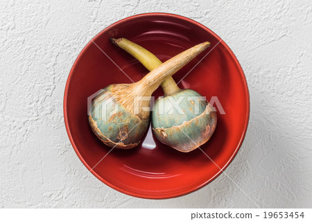 Detailed Japanese winter vegetables ('Caerulea') water chestnut 19653454