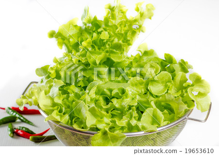 fresh lettuces 19653610