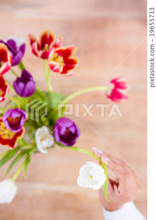 View of hand holing white flower View of hand holing white flower 19655713
