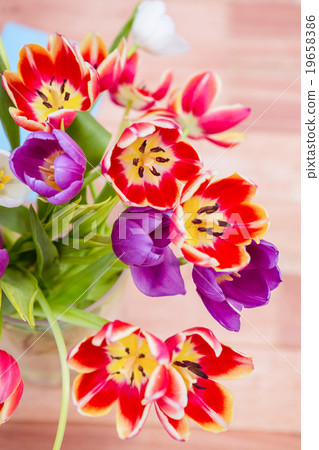 Close up view of flowers Close up view of flowers 19658386