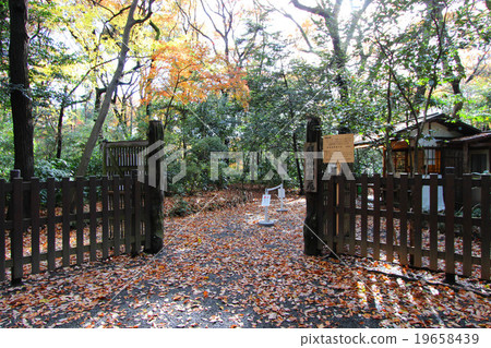 Meiji Shrine entrance 19658439
