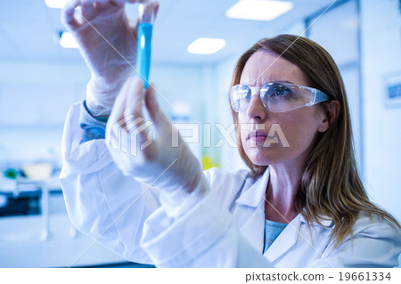 Scientist looking at test tube in the laboratory Scientist looking at test tube in the laboratory 19661334