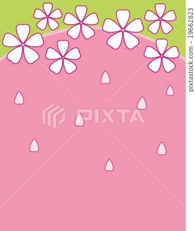 Cherry Blossoms   19662823