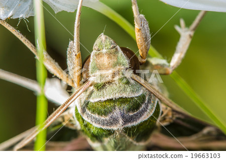 Warm lighting coming out from beautiful lamps Warm lighting coming out from beautiful lamps 19663103