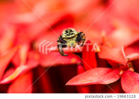 Warm lighting coming out from beautiful lamps Warm lighting coming out from beautiful lamps 19663128