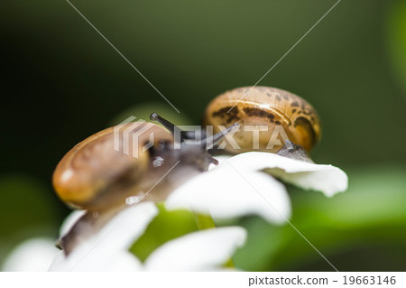 Warm lighting coming out from beautiful lamps Warm lighting coming out from beautiful lamps 19663146