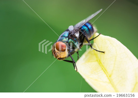 Warm lighting coming out from beautiful lamps Warm lighting coming out from beautiful lamps 19663156