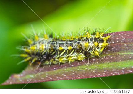 Warm lighting coming out from beautiful lamps Warm lighting coming out from beautiful lamps 19663157