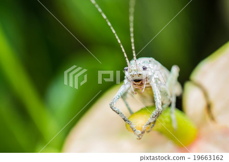 Warm lighting coming out from beautiful lamps 19663162