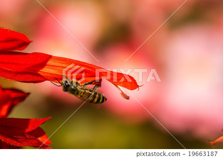 Warm lighting coming out from beautiful lamps 19663187