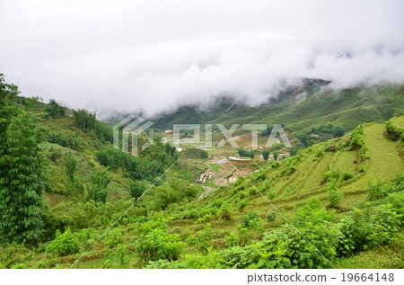 Beautiful terraced rice fields in Vietnamese Sapa Beautiful terraced rice fields in Vietnamese Sapa 19664148