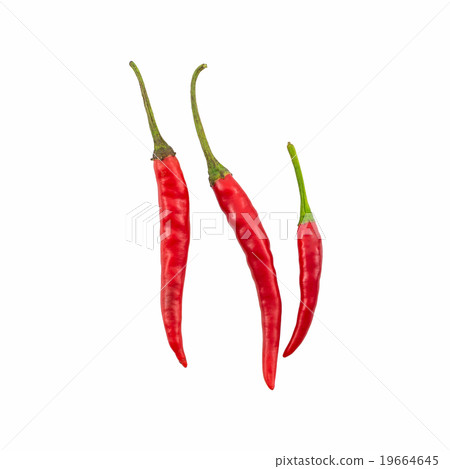 Red chili or chili peppe. Red chili or chili peppe. 19664645