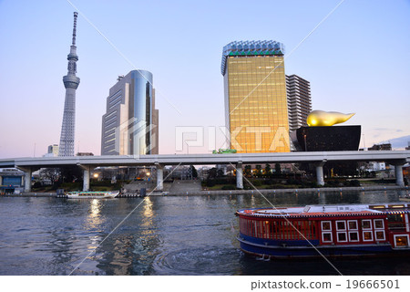 Sky tree and Sumida ward office and beer company Sky tree and Sumida ward office and beer company 19666501