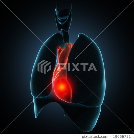 heart human disease illustration 19666751