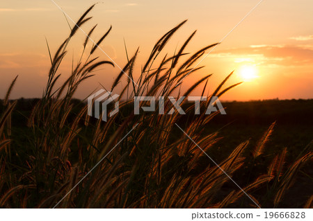 the sunset with hot color tone 19666828