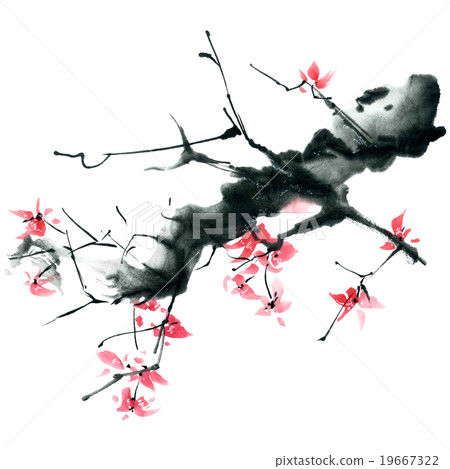 Sakura. Flowers illustration.. 19667322
