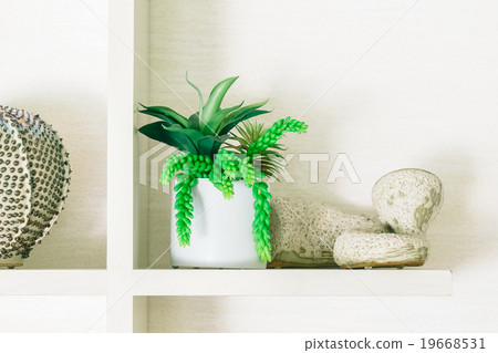 Vase Plant decoration in livingroom 19668531