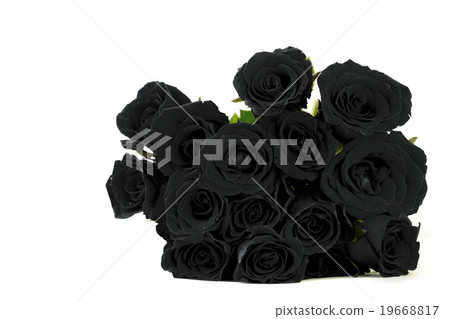 Fantasy black roses bouquet on white background. 19668817