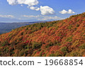 The Yokotani valley of the autumn leaves 19668854