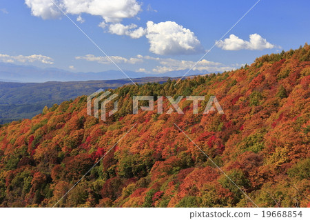 The Yokotani valley of the autumn leaves The Yokotani valley of the autumn leaves 19668854