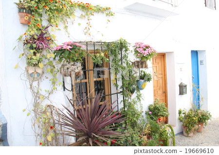 White house and window White house and window 19669610