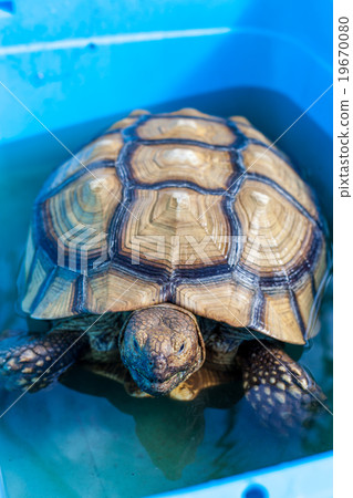 Lukium溫暖的浴 19670080