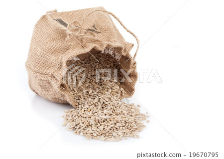 Sack With Shelled Sunflower Seeds Sack With Shelled Sunflower Seeds 19670795