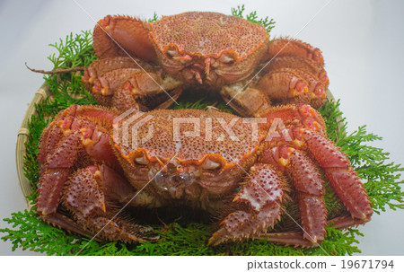 Hair crab blowing foam Hair crab blowing foam 19671794
