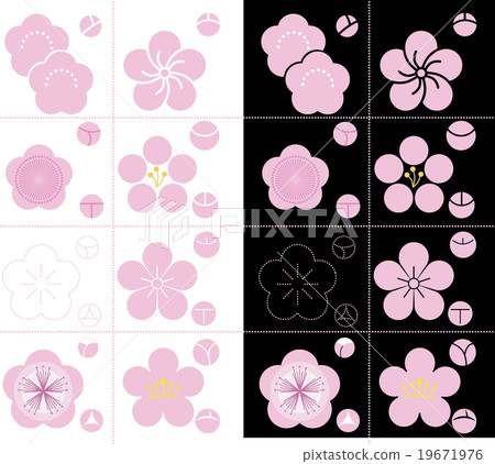 Plum Illustration Plum Illustration 19671976