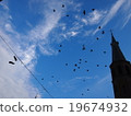 A flock of birds 19674932