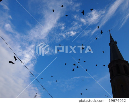 A flock of birds A flock of birds 19674932
