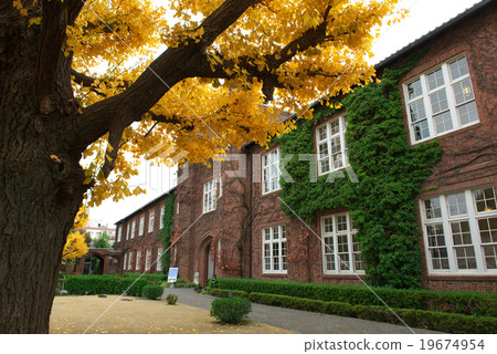 立教大學 19674954