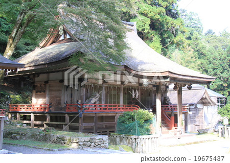 日吉泰莎 日吉泰莎 19675487