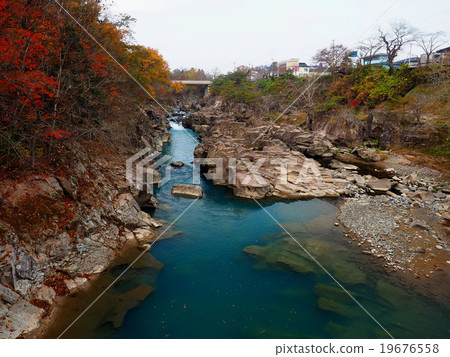 Seiryuki Autumn leaves 19676558