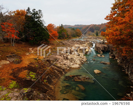 Seiryuki Autumn leaves 19676598