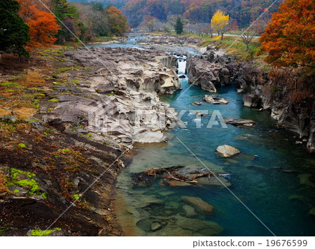 Seiryuki Autumn leaves 19676599