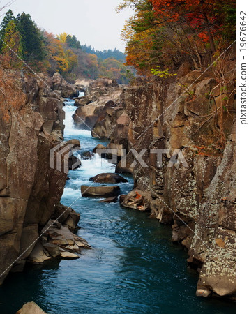 Seiryuki Autumn leaves 19676642