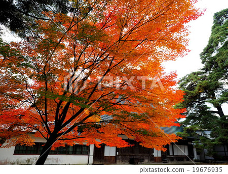 World Heritage Hiraizumi Hikokoshiji Autumn leaves 19676935