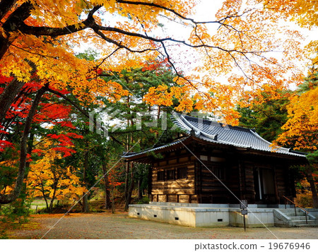 World Heritage Hiraizumi Hikokoshiji Autumn leaves 19676946