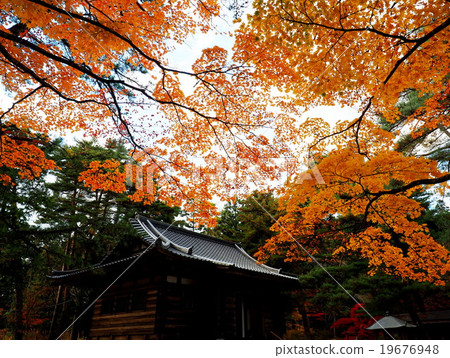 World Heritage Hiraizumi Hikokoshiji Autumn leaves 19676948