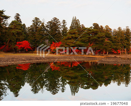 World Heritage Hiraizumi Hikokoshiji Autumn leaves World Heritage Hiraizumi Hikokoshiji Autumn leaves 19677048