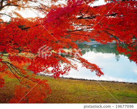 World Heritage Hiraizumi Hikokoshiji Autumn leaves 19677096