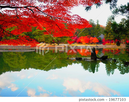 World Heritage Hiraizumi Hikokoshiji Autumn leaves 19677103