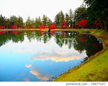 世界遺產平泉Hikokoshiji秋葉 19677107