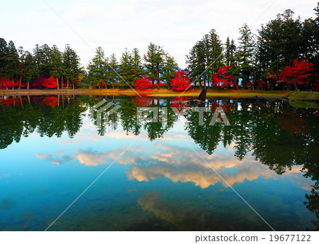 World Heritage Hiraizumi Hikokoshiji Autumn leaves World Heritage Hiraizumi Hikokoshiji Autumn leaves 19677122
